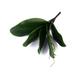RONSHIN 1 Branch Artificial Butterfly Orchid Leaf Bush Simulation Grass Home Decoration Green