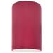 Ambiance 9 1/2" High Cerise Cylinder LED Outdoor Wall Sconce