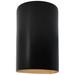 Ambiance 9 1/2"H Carbon Gold Cylinder Closed Outdoor Sconce