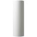 Ambiance 17"H Matte White Gold Tube LED ADA Outdoor Sconce