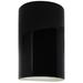 Ambiance 12 1/2"H Black White Cylinder LED Outdoor Sconce