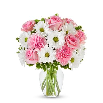 Flowers - Pastel Daisy & Rose Delight