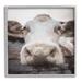 Stupell Industries Az-322-Framed Farm Cow Abstraction Print Canvas in Brown | 24 H x 24 W x 1.5 D in | Wayfair az-322_gff_24x24