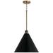 Capital Lighting Bradley 1 Light Pendant Aged Brass and Black