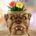 Soikfihs Face Planter Pots Head Planter With Hole Man Face Flower Pot Head Planter Succulent Planters For IndoorFlower Pots Outdoor Balcony Plant Flower Pot Cute and Creative