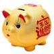 Piggy Bank Golden Pig Bank Only Allows In And Out Of Deposit Cans, Coin Storage Boxes Money Box For Kids (Color : M)