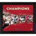 Tampa Bay Buccaneers 2023 NFC South Division Champions 15" x 17" Collage