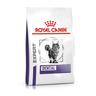3kg Dental Royal Canin Expert Dry Cat Food