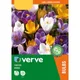 Verve Mixed Crocus Flower Bulb Of 30