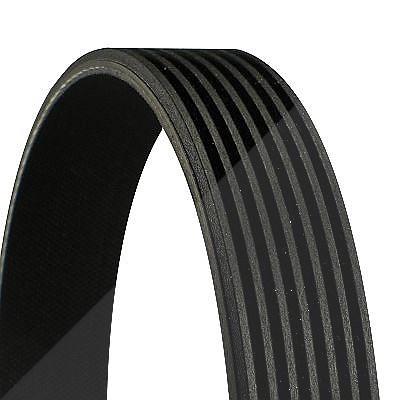 Continental Ctam Keilrippenriemen [Hersteller-Nr. 7PK1220] für Hyundai, Kia, Lancia Image