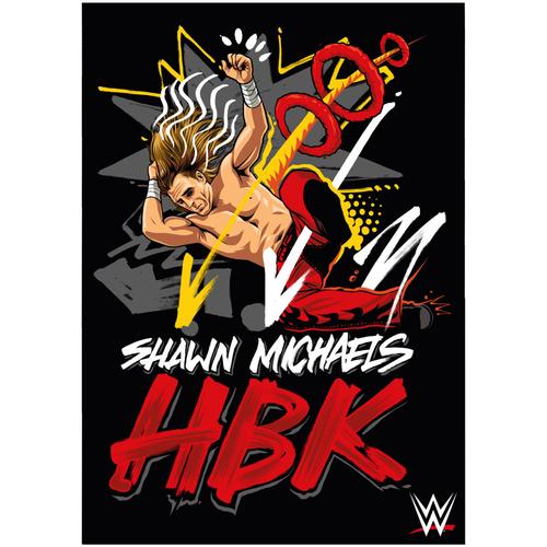 WWE Shawn Michaels HBK Poster – ungerahmt A3