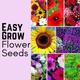Flower Seeds Easy Grow Garden Plants Wildflower Bee Friendly Grow Your Own Indoor Outdoor in the UK