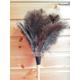 "South African Ostrich Feather Duster 20\" total length, 11\" Wooden Pine Handle with Bulk Buy Option for Professional Cleaning"