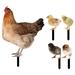 5pcs Simulation Chicken Stakes Home Decor Rustic Outdoor Patio Yard Adornment Chick Statue