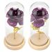Soap Flower with Glass Cover Preserved Artificial Rose Ornament for Valentine s Day Anniversary