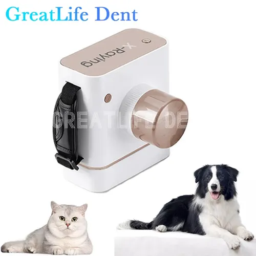 Great life Delle tragbare Tierarzt Haustiere Tier Hund Katze tragbare Röntgen kamera Dental Röntgen kamera Sensor Bild