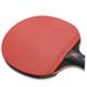 2pcs 5 Table Tennis Racket The Red Teen Ti Teenieping Teenagers Pong Balls Paddles Table Tennis Equipment Pong Bat Truning Star Pingpong Racket Pong Paddle Set Wooden