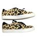 Converse Shoes | Converse Cheetah Print Sneakers | Color: Black/Brown | Size: 5
