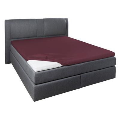 Spannbettlaken PRIMERA "Elasthan-Feinjersey Topper", rot (bordeaux), B:140-160cm L:200-220cm, Jersey-Elasthan, Obermaterial: 95% Baumwolle, 5% Elasthan, Laken, Aus 95% gekämmter Baumwolle und 5% Elastan Image