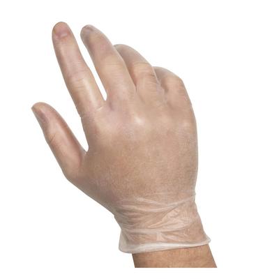 Handgards 304340173 Valugards General Purpose Vinyl Gloves - Powdered, Clear, Large