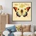 August Grove® Vintage Illustration Of Elegant Butterfly I Canvas, Cotton in White | 36 H x 36 W x 1.5 D in | Wayfair