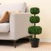 Primrue 30" Faux Boxwood Topiary in Pot Plastic in Black | 30 H x 8.5 W x 7 D in | Wayfair E2381D6973EC48A1AD336D50441FB5D4