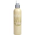 ABBA by ABBA Pure & Natural Hair Care ABBA Pure & Natural Hair Care PRESERVING BLOW DRY SPRAY 8 OZ (NEW PACKAGING) UNISEX