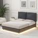Latitude Run® Bed Wood & /Upholstered/Polyester in Black | 41.6 H x 62.3 W x 80 D in | Wayfair 3CD56AC4588B47778D12DA4563FE7135
