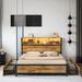 Ivy Bronx Giacobba Bookcase Bed w/ LED Lights & Four Drawers Wood in Black/Brown | 43.3 H x 54.3 W x 75.2 D in | Wayfair
