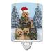 6 x 4 in. Cairn Terrier Christmas Family Tree Ceramic Night Light