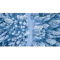 Winter Snow Covered Trees - 1500 Piece Wooden Jigsaw Puzzle - Adult Jigsaw Large Jigsaw Puzzle Game Artwork for Teens