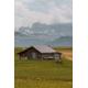 House on the Grass - 4000 Piece Wooden Jigsaw Puzzle - Floor Jigsaw Puzzle Fun Game or Jigsaw Puzzle