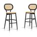 PURPLE LEAF Counter Height Bar Stools Set of 2 Patio Rattan Barstools Modern Aluminum Stools