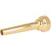 Metal Trumpet Brass Trumpet Small Trumpet for Beginner