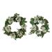 Magnolia and Eucalyptus Artificial Wreath - 23.5" - White - 2ct