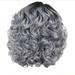 Beauty Clearance Under $15 Fashion Women S Sexy Full Wig Short Wig Curly Wig Styling Cool Wig Grey