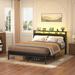 Wrought Studio™ Jaquaya Bed Frame w/ Headboard, Charging Station & LED Strips Metal in Black | 39 H x 61 W x 86.6 D in | Wayfair