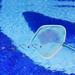 PRINxy Heavy Duty Pool Net Deep Bag Swimming Pool Cleaner Supplies Pool Skimmer Leaf Cleaning Pool Rake Fine Mesh Net
