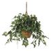 Silk Plant Nearly Natural English Ivy Hanging Basket Silk Plant