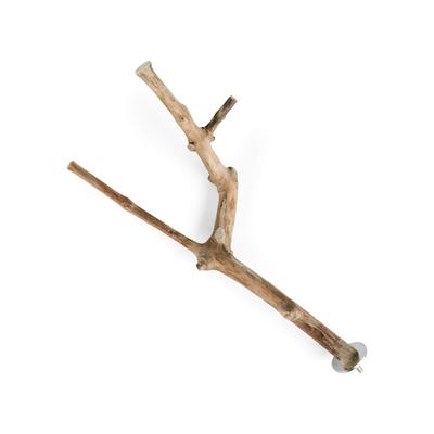 You & Me Java Wood Multi-Branch Perch Toy, X-Small
