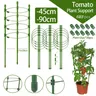 Cages de support de plantes grimpantes treillis de concombre pour plantes grimpantes 4 anneaux