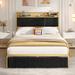 Willa Arlo™ Interiors Ballew Bookcase Storage Bed Upholstered/Velvet/Metal & Upholstered/Metal in Black | Queen | Wayfair