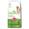 Trainer Natural Maxi, bœuf, riz & ginseng - 2 x 12 kg