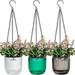 3 Pack Small Hanging Planters Garden Self-Watering Flower Plant Pot Hanging Planters for Indoor Plants Container Succulent Planter Pots with Hook Chains Drainage Holeï¼ˆGreen Clear Gray)