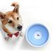 No Spill Water Bowl for Dog Slow Feeder Dish Dog Feeder Pet Slow Feeder Bowl Drinking Feeder Dog Water Bowl A