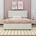 Everly Quinn Zelai Queen Size Platform Bed w/ Rivet-decorated Headboard, LED bed frame & 4 Drawers Upholstered/Velvet in Brown | Wayfair