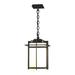 Hubbardton Forge Tourou Outdoor Pendant Glass/Aluminium/Metal in Black | Wayfair 366007-SKT-80-GG0112