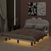 Latitude Run® Bellamira Queen Size Upholstery LED Floating Bed Upholstered/Faux leather in Brown | 40.9 H x 61.8 W x 80.7 D in | Wayfair