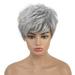 Lkzmdpt Decorations Party Cover Silver Gray Wig Headgear Women s Protective Hair wig