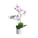 Phalaenopsis Bonsai Artificial Flowers Phalaenopsis Artificial Bonsai Flowers Artificial Flowers for Wedding Artificial Flowers in Pot Artificial Flower Wreaths Vases with Artificial Flowers